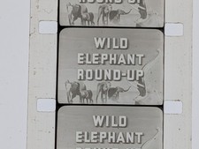 Castle Film 7" Silent 16mm "Wild Elephant Round Up" Black And White