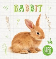 Shalini Vallepur | Rabbit | Buch | Englisch (2019) | Life Cycles | Gebunden