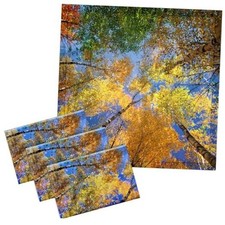 4 Pcs 2 x 2 Feet Fluorescent Light Covers for Ceiling Lights Classroom Trees