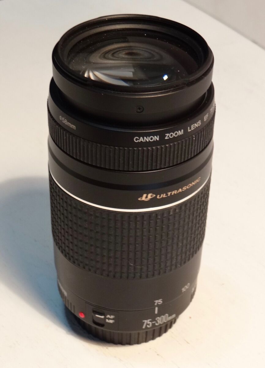 ⭐CANON EF 75-300mm F4-5.6 III USM⭐美品❤️-