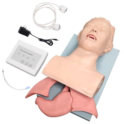 Airway Management Trainer Study Adult Oral Intubation Manikin Teaching Model