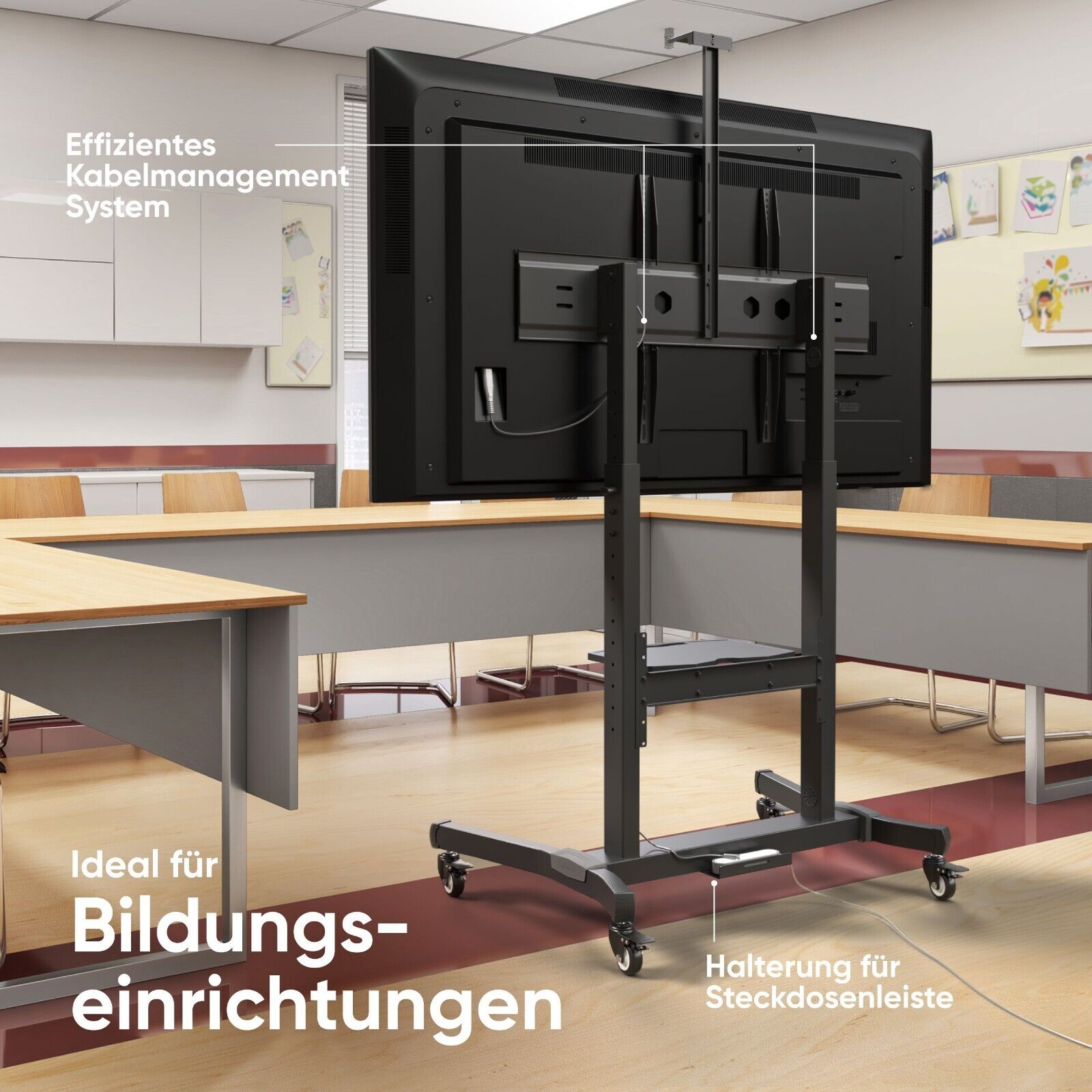 Bild 8 von 10