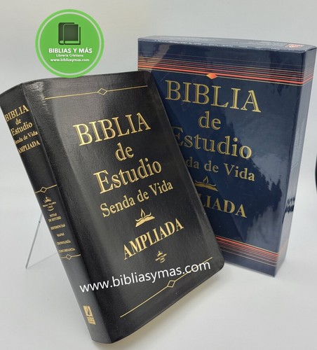 Bible Pour Filles Version Reina Valera 1960 - Format Poche Rose Avec Fermoir - Cadeau Religieux Pour Enfant