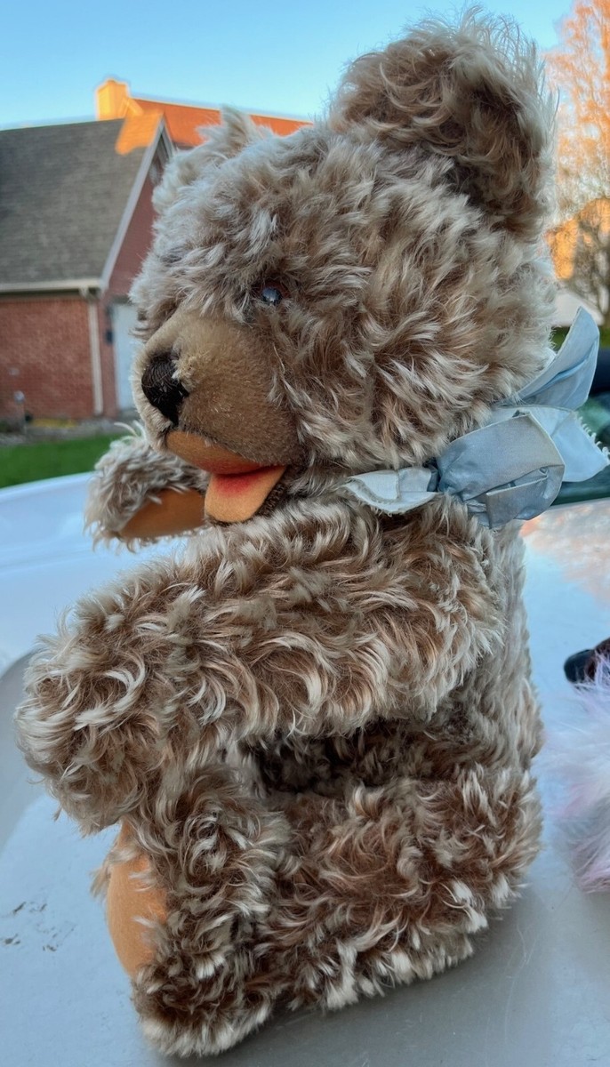 Vintage Steiff Original ZOTTY Bear Eulan Mottenecht Durch With Tag
