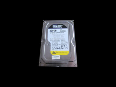 Western Digital WD2503ABYX-01WERA1 interne Festplatte 3,5  HDD 250GB