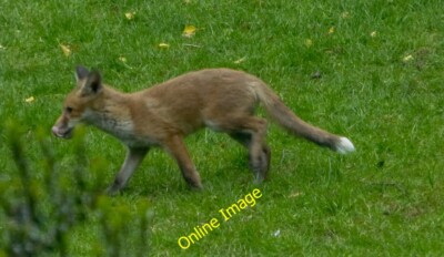 Foto 12x8 Country Lane Roosebeck Der Sand der Morecambe Bay ist zu sehen i c2010