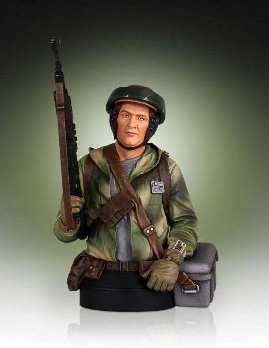 ENDOR TROOPER BUSTE 1/6 STAR WARS GENTLE GIANT 18 CM - Photo 1/1