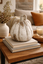 Rustic White Decorative Outdoor Pumpkin Ornament 20cm MGO Autumn Table Decor