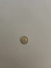 1 Gram .999 Fine Silver The American Prospector Commemorative Round USA