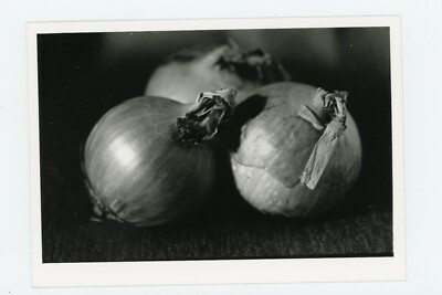 FOTO Fotografie, Studie Stillleben Zwiebeln Zwiebeln