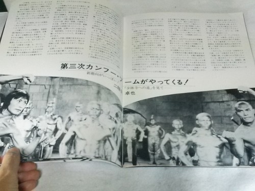 The 18 Bronzemen Road to Shaolin Temple Movie Brochure 1982 - Picture 7 of 8