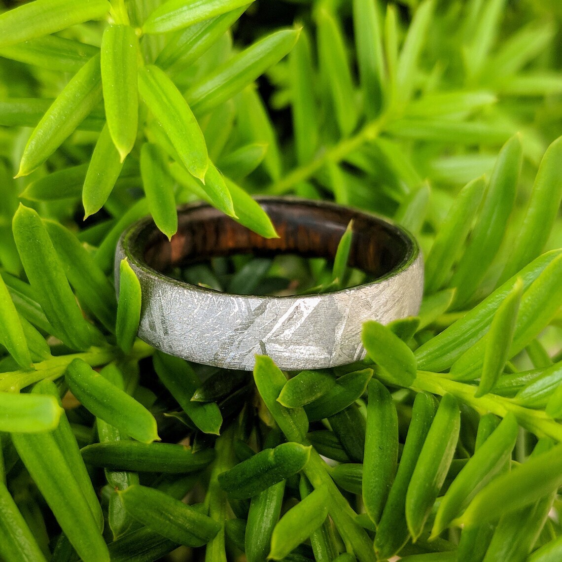 Meteorite Wedding Band w/ Arizona Ironwood Sleeve - Men's Wedding Ring-image