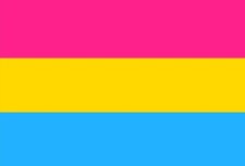 New Pansexual Pride Flag - 100% of sale goes to LGBTQ+ Organization