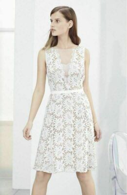 Adrianna Papell Illusion Floral Lace Fit & Flare Dress Plus Sz 22W Ivory-Bisque  | eBay