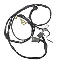 Rapid Bike Control Unit Wiring