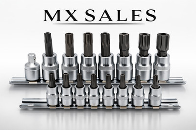 15PC Tamper Proof Torx Bit Socket Set T10-T60 CR-V Steel 1/4'' & 3/8'' Drive Rail