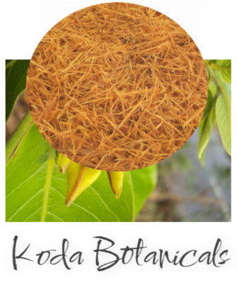 CAT'S CLAW Herbal Tea PREMIUM GRADE Uncaria tomentosa Dried Shredded Bark