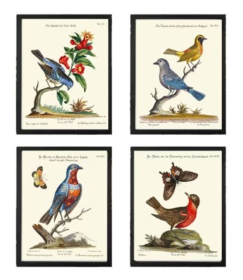 Vintage Bird Nest Wall Art Prints Set of 4 Beautiful Antique Dining ...