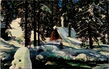 Winters Soft Solitude Scenic Art Vintage Postcard