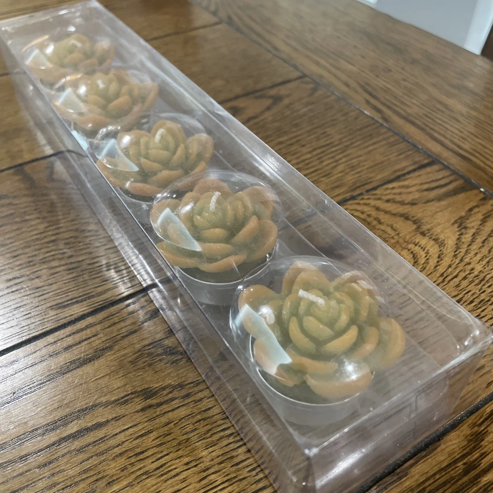 Pottery Barn суккулент Echeveria свечи Tealights набор из 5 новый в коробке - Изображение 2 из 4