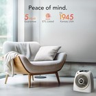  AVH10 (2025) Space Heater for Home, Fan Only Option, Digital Display with Adjus