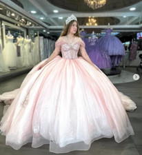 Light Pink Quinceanera Dresses Girl Sweet 15 16 Birthday XV Party Ball Gowns