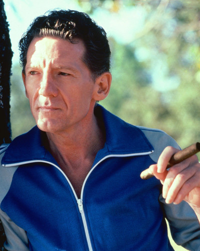 Jerry Lee Lewis Musique Photo [S269752] Taille Choix | eBay