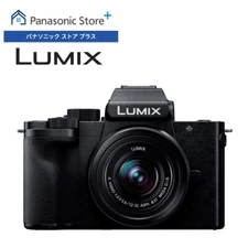 Panasonic LUMIX G100 20.3MP Mirrorless Vlogging Camera