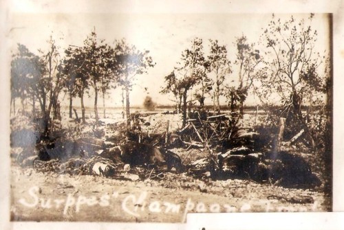 World War I France Verdun Dead Man's Hill Atrocities Lot of 14 Photos - Picture 16 of 18