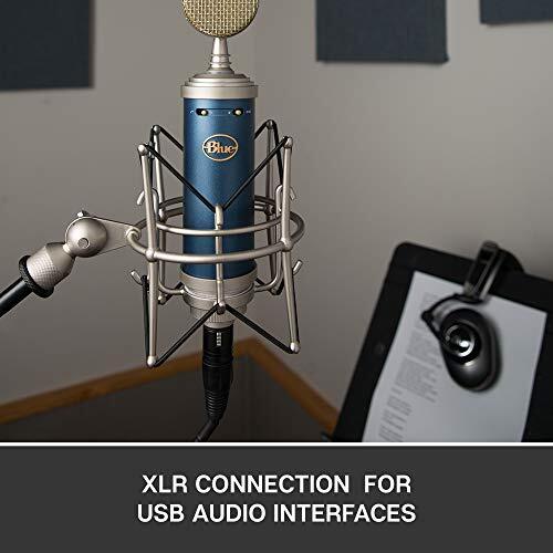 Blue Microphones Bluebird SL Studio Condenser Microphone