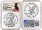 Photo of a 2025-P American Silver Eagle from an eBay listing that sold on Jul 22, 2026