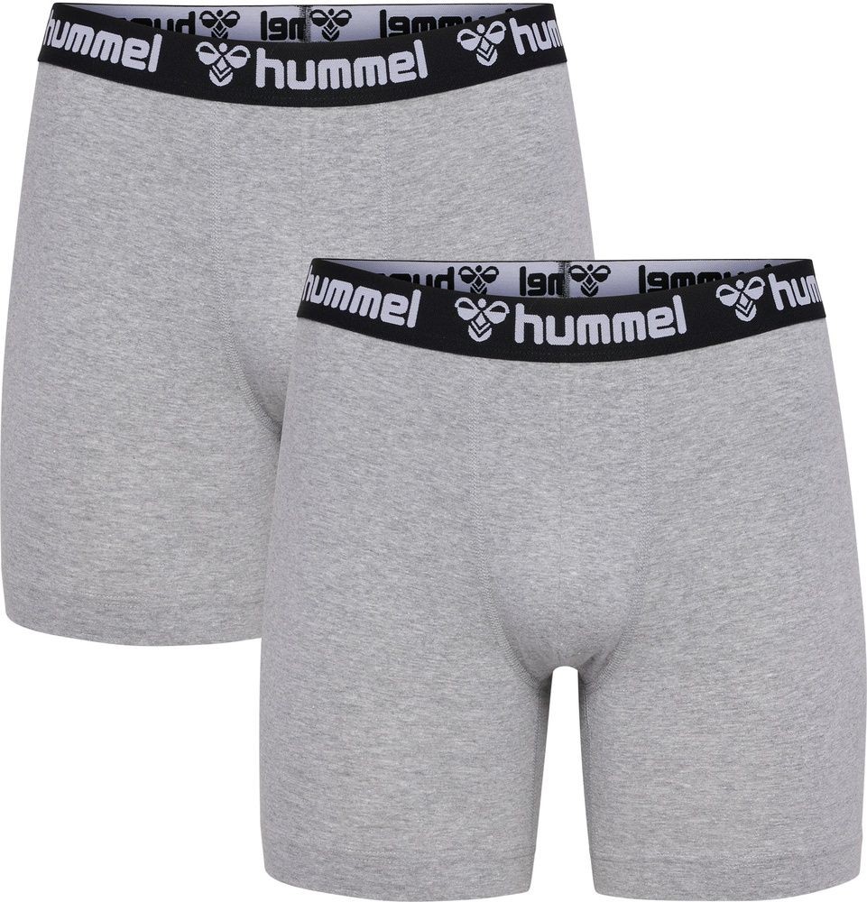 Hummel Unterwsche Hmlboxers 2-Pack 4690₽