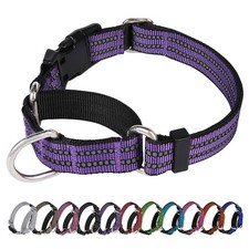 Martingale Dog Collar, Adjustable Nylon Reflective Collar with Quick Release ...