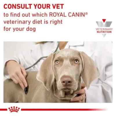 Royal Canin Urinary S/O Small Dog 4 kg