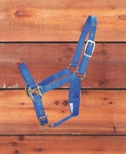 Miracle Corp Products Halter Adjustable Chin Foal Blue