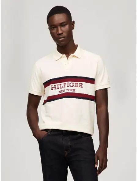 Tommy Hilfiger Mens Regular Fit Monotype Colorblock Polo Multi Large 8690₽