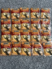 HotHands Toe Warmers Set Of 20