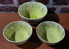  Costa Nova Madeira Lemon Green Bowls X 3