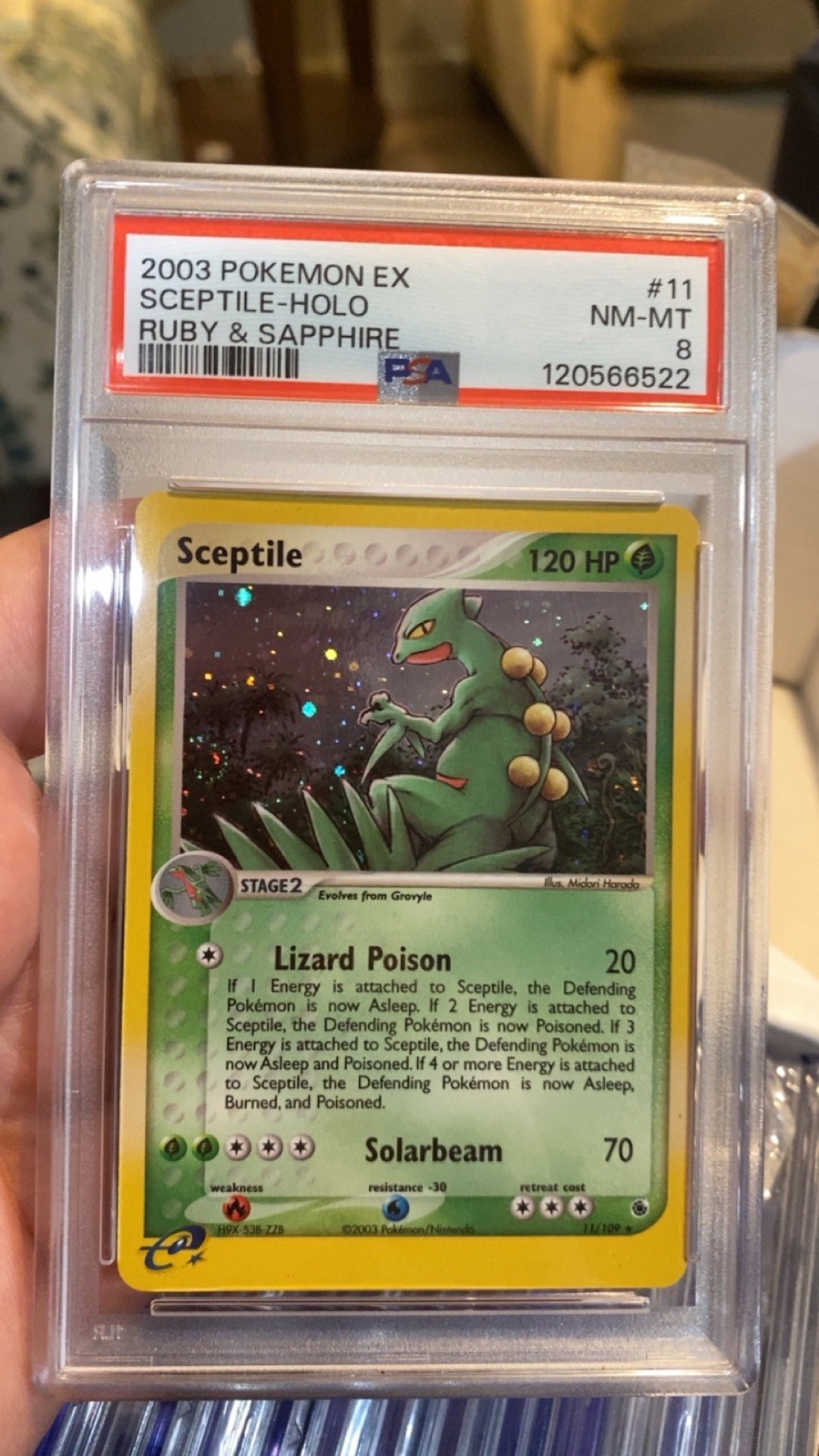 Pokémon Sceptile 11/109 Ruby and Sapphire Holo PSA 8 Vintage Swirls 💫