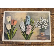 Washington Seed House, Washington Iowa - 1907-1915 Advertising Postcard