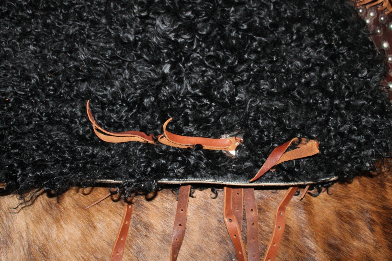Picture 7 of 7
