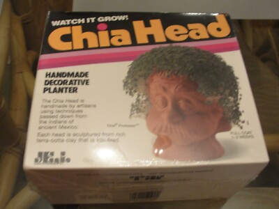 New Chia Pet Handmade Decorative Planter ''Professor'' Watch it Grow! Never Used