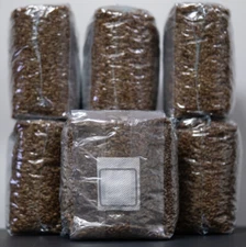 MycoHaus 12 lbs ( 6 pack ) sterilized rye grain berries mushroom spawn grow bag