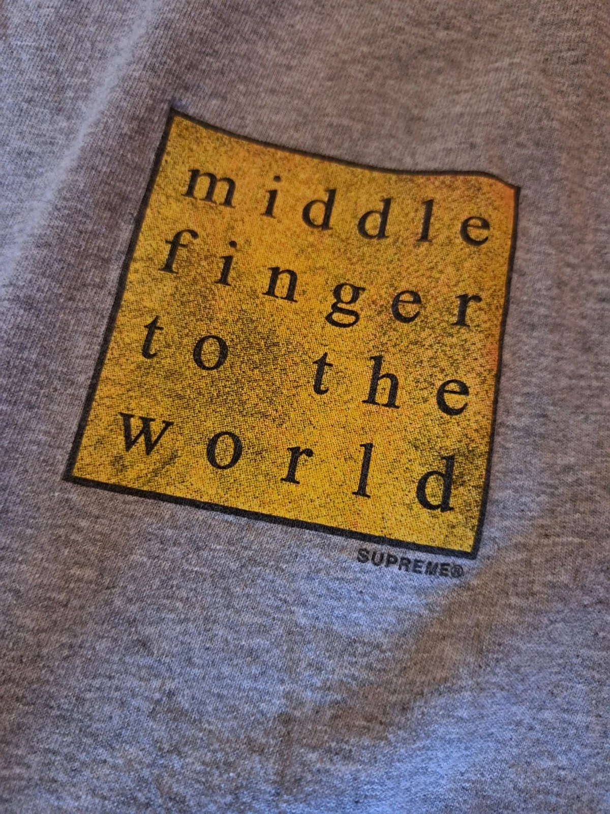 T shirt gris méditerranéen Supreme Middle Finger To The World d'occasion