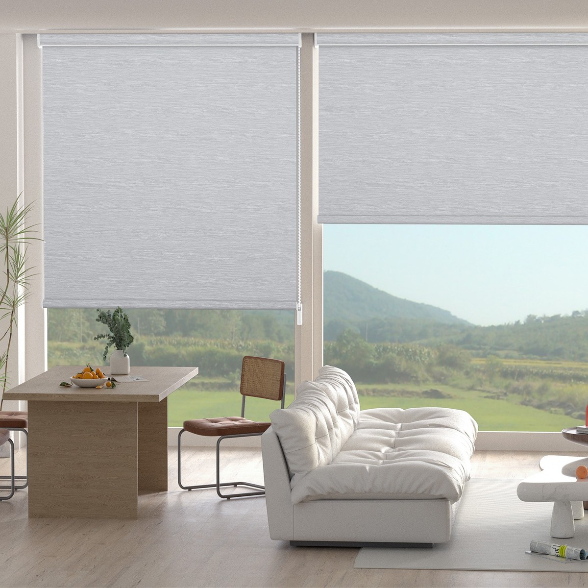 Changshade 100% Blackout Cordless Window Blinds Roll-up