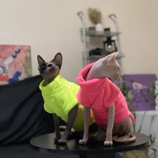 Winter Comfortable Sphynx Cat Clothes Cat Hoodie Coat for Pet Clothing Cute Appa