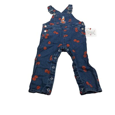 Christian Robinson Boy's Sz 18 Month Microscope Embroidered Overalls Blue Orange