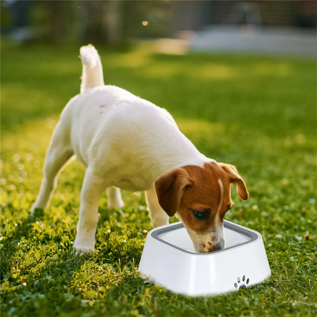 Non splash hotsell dog water bowl