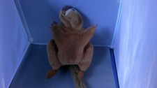 Folktails Folkmanis Brown Plush Chipmunk Full Body Hand Puppet Squirrel 10"