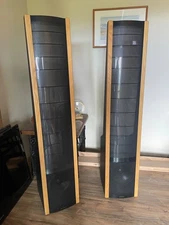 Martin Logan SL3